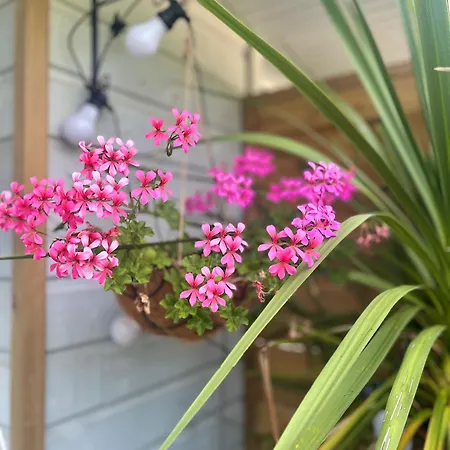 Ben & Nad Proche Du Puy Dufou Appartement Saint-Aubin-des-Ormeaux