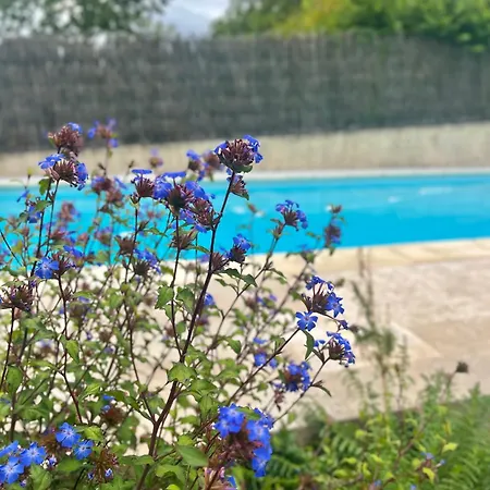 Ben & Nad Proche Du Puy Dufou Appartement