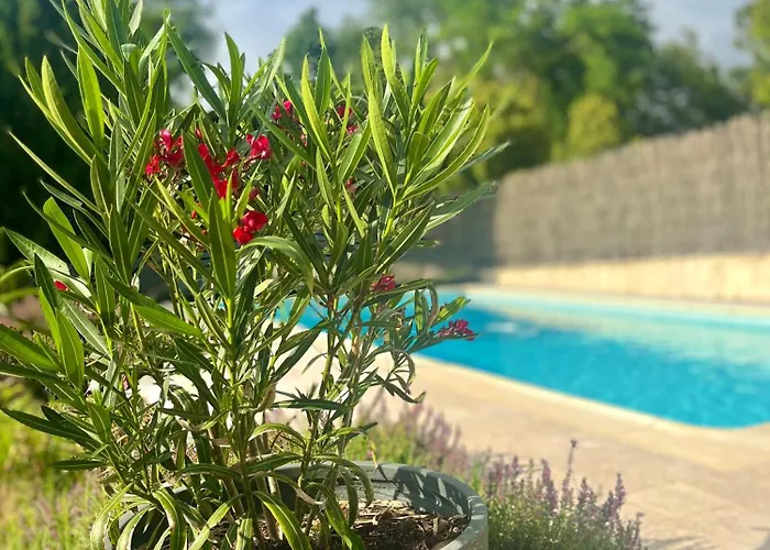 Ben & Nad Proche Du Puy Dufou Apartamento