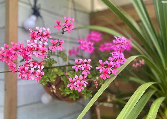 Ben & Nad Proche Du Puy Dufou Apartamento Saint-Aubin-des-Ormeaux